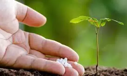 Niger Govt. Inaugurates 2021 Fertilizer Sales for Farmers
