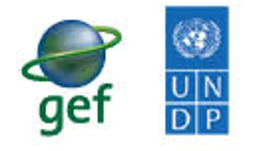 WOFAN, SGP-UNDP GEF Train 720 on Agroforestry