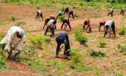 Scarcity of labourers hits Jos construction sites