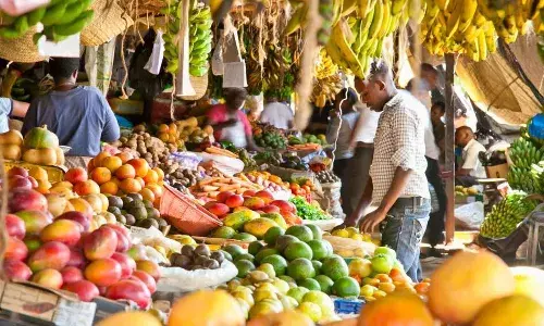Expert wants greater investment in food security