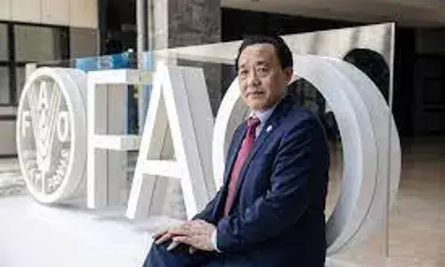 FAO Urges More Funding For African Agricultural Sector