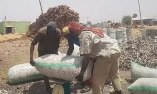 Abbatoir Wastes Create Income — NAN check Abbatoir Wastes Create Income — NAN check