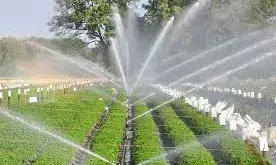 Expert Urges Less Dependence on Rain-Fed Agriculture