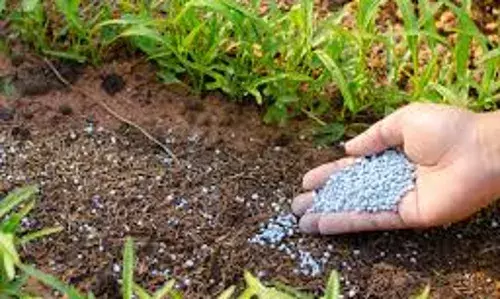 Expert Warns Against Application of Harmful Fertilisers