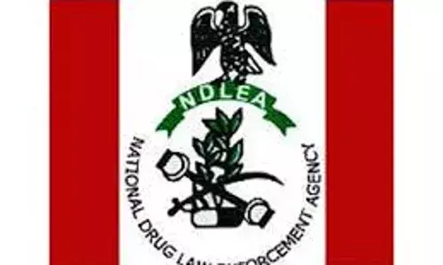 NDLEA Seizes 46.8 kg of Tramadol Capsules NDLEA Seizes 46.8 kg of Tramadol Capsules