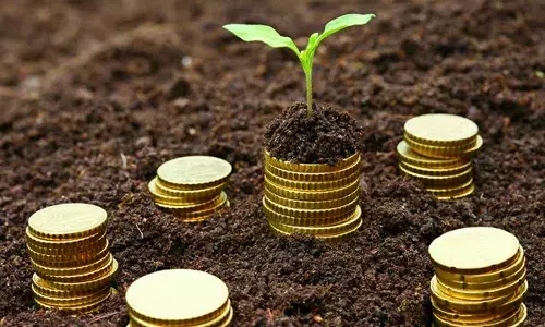 Microfinance Bank Pledges to Support Agric for 2021 Microfinance Bank Pledges to Support Agric for 2021