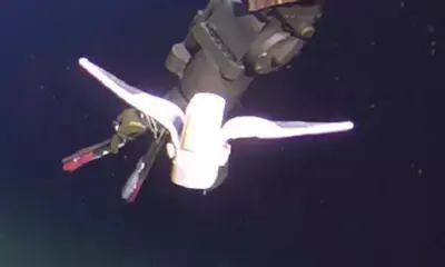 Chinese Researchers Develop Soft robot