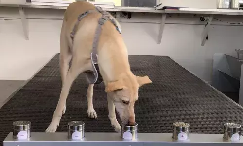 Switzerland Trains Sniffer Dogs for Detecting COVID-19