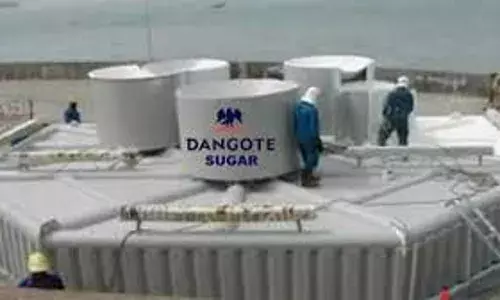 Dangote Sugar Refinery Reports