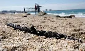 Greek Coy Denies Responsibility for Oil Spill