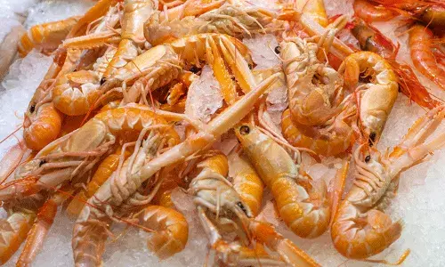 Britain Urges EU to Ease Seafood Import Restrictions Britain Urges EU to Ease Seafood Import Restrictions