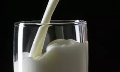 A New Healthy Milk