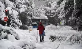 About 100 Flights Canceled in Japan over Heavy Snowfall, Wind