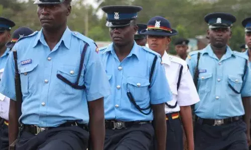 Police Arraign Two Businessmen for Stealing Birds Worth N1.4m