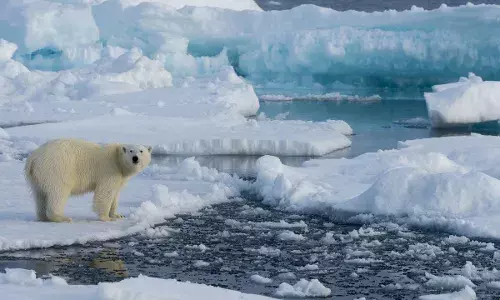 This is When Arctic Ice May Melt Completely This is When Arctic Ice May Melt Completely