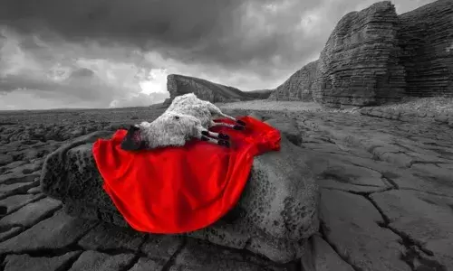 Poem: THE BLOODY ATONEMENT