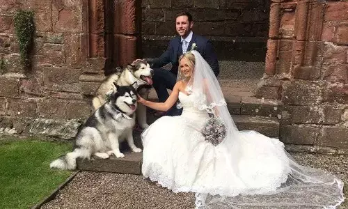 ENGLISH COUPLE CHOSE DOG AS BEST MAN & MAID OF HONOUR