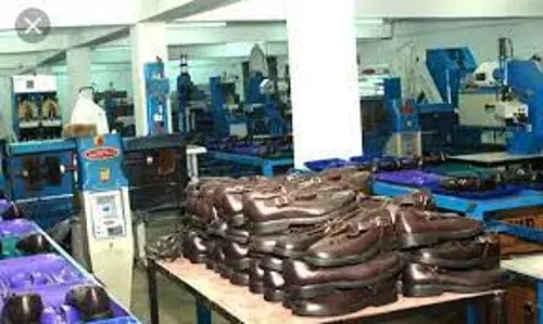The possibilities of Nigeria generating $1 billion from leather industry