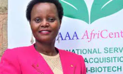 Africa records good progress in adoption of bio-tech crops- ISAAA Director