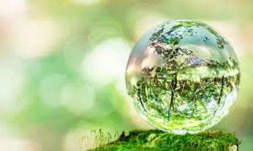 Environmentalist calls for sustainable lifestyles to reduce heat wave