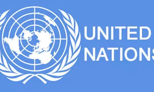 UN Appeals for $3.85bn