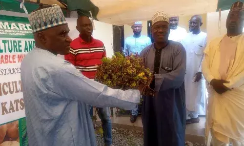 FG targets 4, 200 potato farmers for inputs support