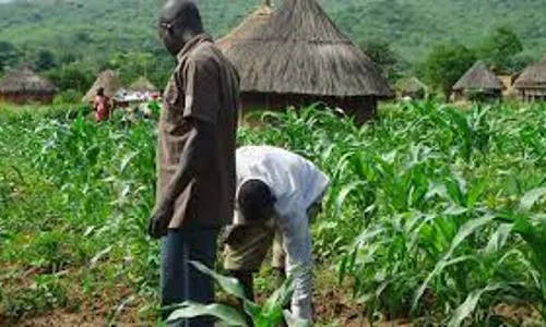 ENADEP decries inadequate Agric extension workers