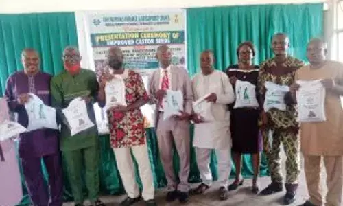 RMRDC distributes improved castor seedlings