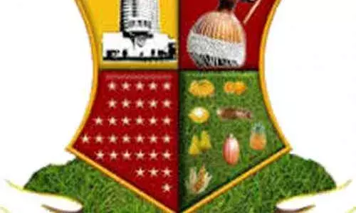 Youths in Oyo State Engaged in Agriculture Businesses Youths in Oyo State Engaged in Agriculture Businesses