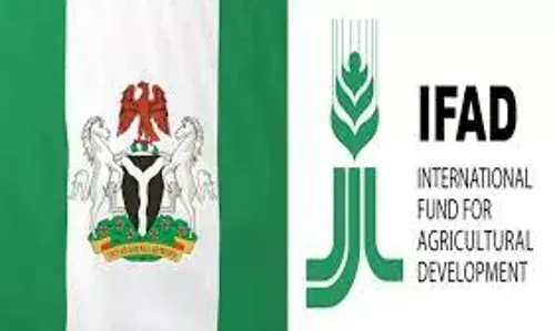 FG/IFAD programme to support 616 farmers with N26m inputs