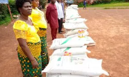 RIFAN launches wet season farming, promises bumper harvest