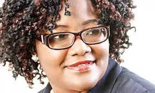 Only 25 of 160 licensed GenCos operating — Ogaji