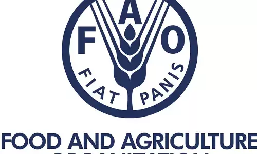 FAO provides $350,000 technical support for Nigeria