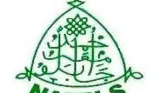 Don calls for investment in cassava value chain