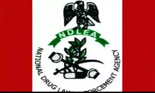 NDLEA Arrests 43 Suspects, Kilograms of Exhibits in Kano