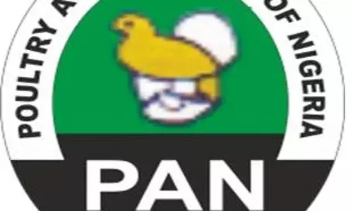 Poultry association to seek CBN’s intervention on maize procurement