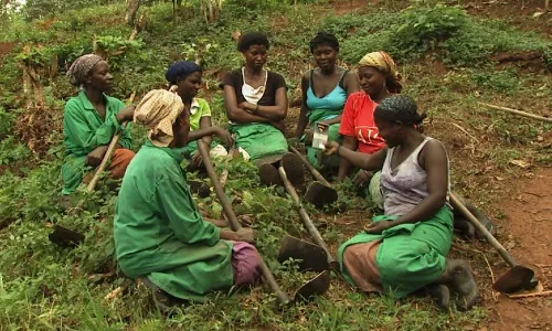 Stakeholders advise govt to involve women in agriculture budget