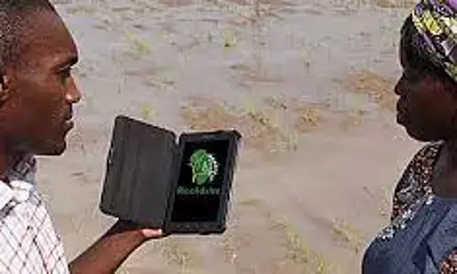 80 farmers benefit from RiceAdvice app innovative training