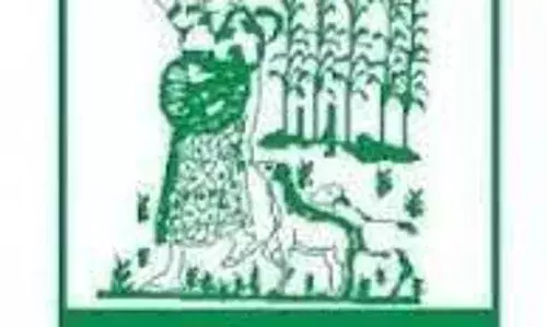 WOFAN Distributes Farm Inputs to 2,400 Women, Youths