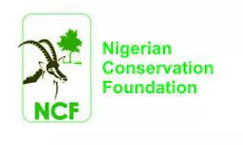 Nigeria Loses up to 400,000 Hectares of Forest Yearly – NCF DG