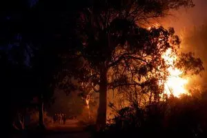 U.S. president tours wildfire danger during California trip