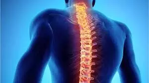 Prevention, best way to stem Spinal Cord injury cases- Victims