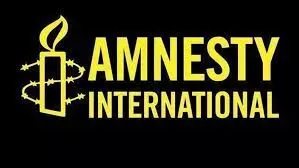 Syrian refugees tortured on return – Amnesty International