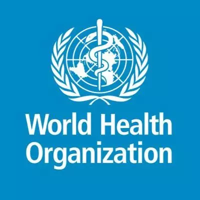 Long work hours increase death risk — WHO, ILO