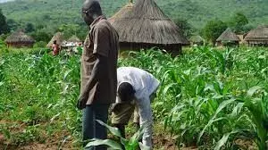 ENADEP decries inadequate Agric extension workers