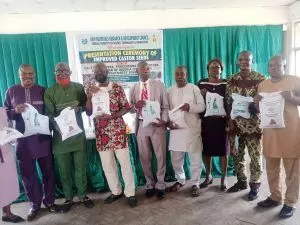 RMRDC distributes improved castor seedlings