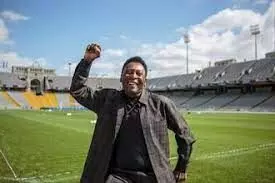 Pele brings sports stars together for charity auction