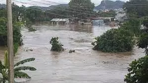 Flood sacks Adamawa community, destroys 150 farmlands, 66 houses  – ADSEMA