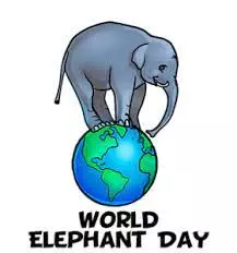 World Elephant Day: NCF tasks FG on Ecotourism