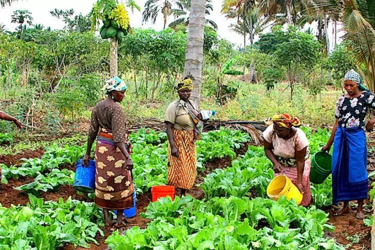 Utilising Sustainable Practices to Enhance Productivity of Smallholder Women Farmers